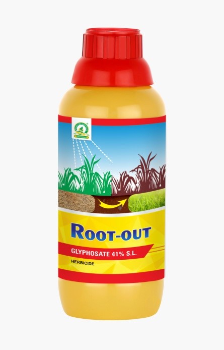 ROOT OUT